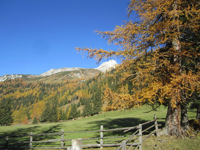 Am Start der Gipfel im Hintergrund