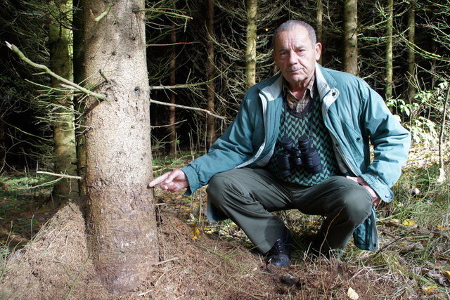 Einen Meter Hoch war der Ameisenhaufen vor seiner Zerstörung, beweist Ferdinand Tschernitz am Tatort.