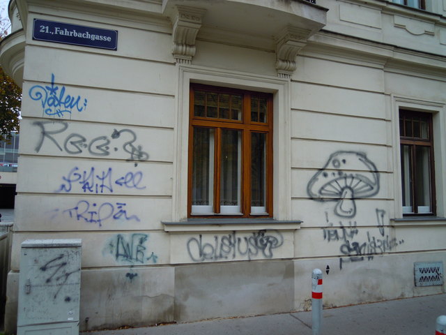Kein schöner Anblick sind diese Graffiti an einem Haus in der Fahrbachgasse. | Foto: David Karski