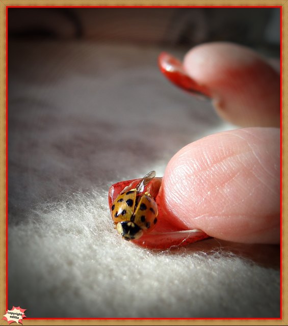 Foto: Edith S.