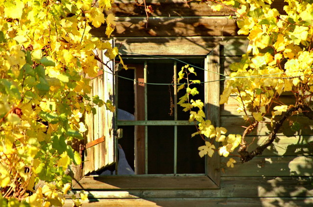 Foto: Kurt Erkinger