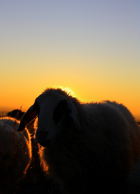 Foto: Hannes Moser