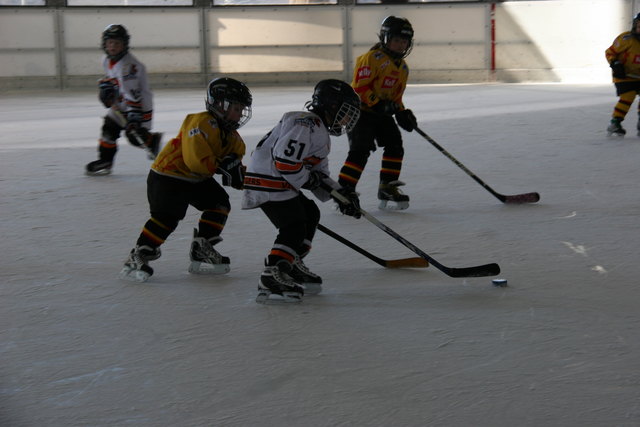 Beim größten Turnier dieser Art in Mitteleuropa treffen Mannschaften der Altersklassen U7-U10 aus Kärnten, Wien, Niederösterreich, Salzburg, der Steiermark und Kroatien in 75 Spielen aufeinander. | Foto: Graz 99ers Juniors