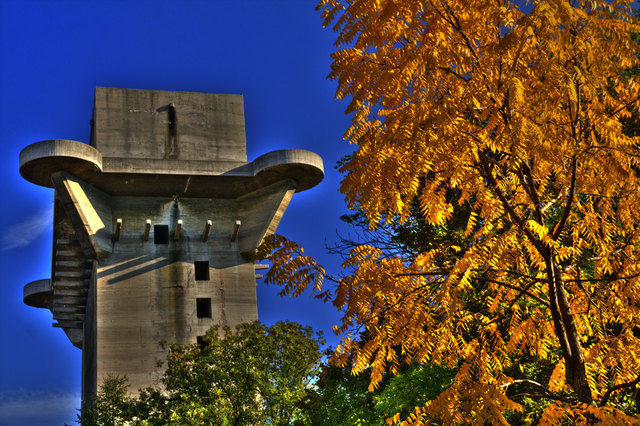 Foto: Martin Jordan