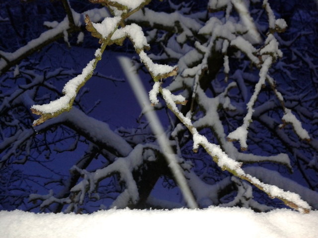 Es wird scho glei dumpa,,,