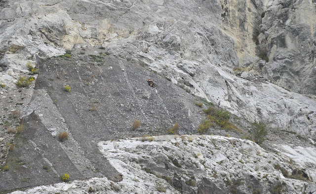 Foto: zeitungsfoto.at