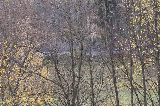 Durch die nackten Herbstbäume hindurch liefert der Balkon Aussicht auf die A1 samt Lärmschutzwänden.