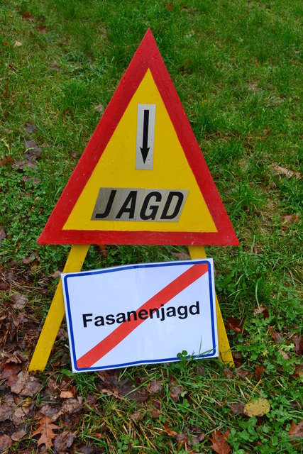 Foto: David Richter