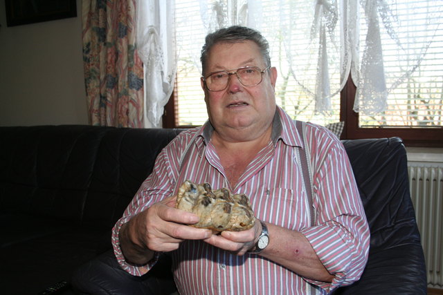 Helmut Holzschuh war 14, als er den Mahlzahn des ausgestorbenen Rüsseltiers fand. Das Mas­t­o­don war eine Elefantenart und hatte ein kräftiges Gebiss.