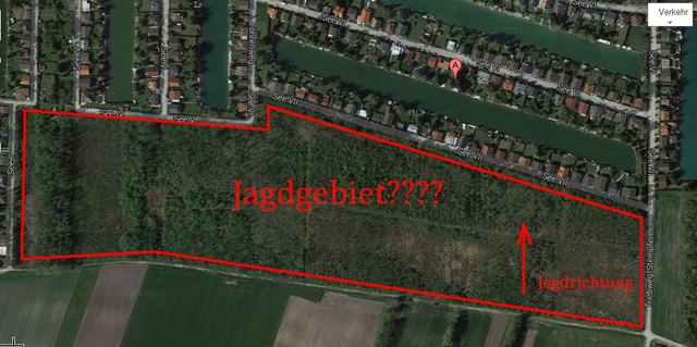 Das Jagdgebiet: Laut Jagdleiter Zettel ist die von Capsky auf diesem Plan eingezeichnete Jagdrichtung falsch.