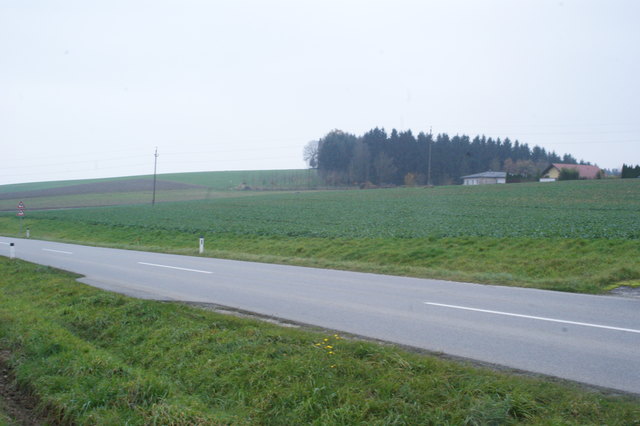 Von den Häusern bis zur Straße soll dieses Grünland in Andorf zu einem Baugebiet mit 26 Parzellen werden.