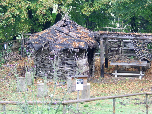 Flechten, ein ganz wichtiger Bestandteil
