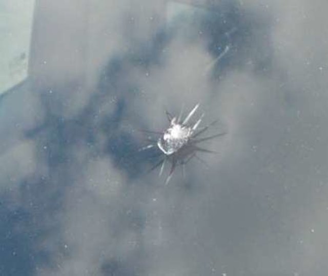 "meine Glasspinne" auf der Wndschutzscheibe