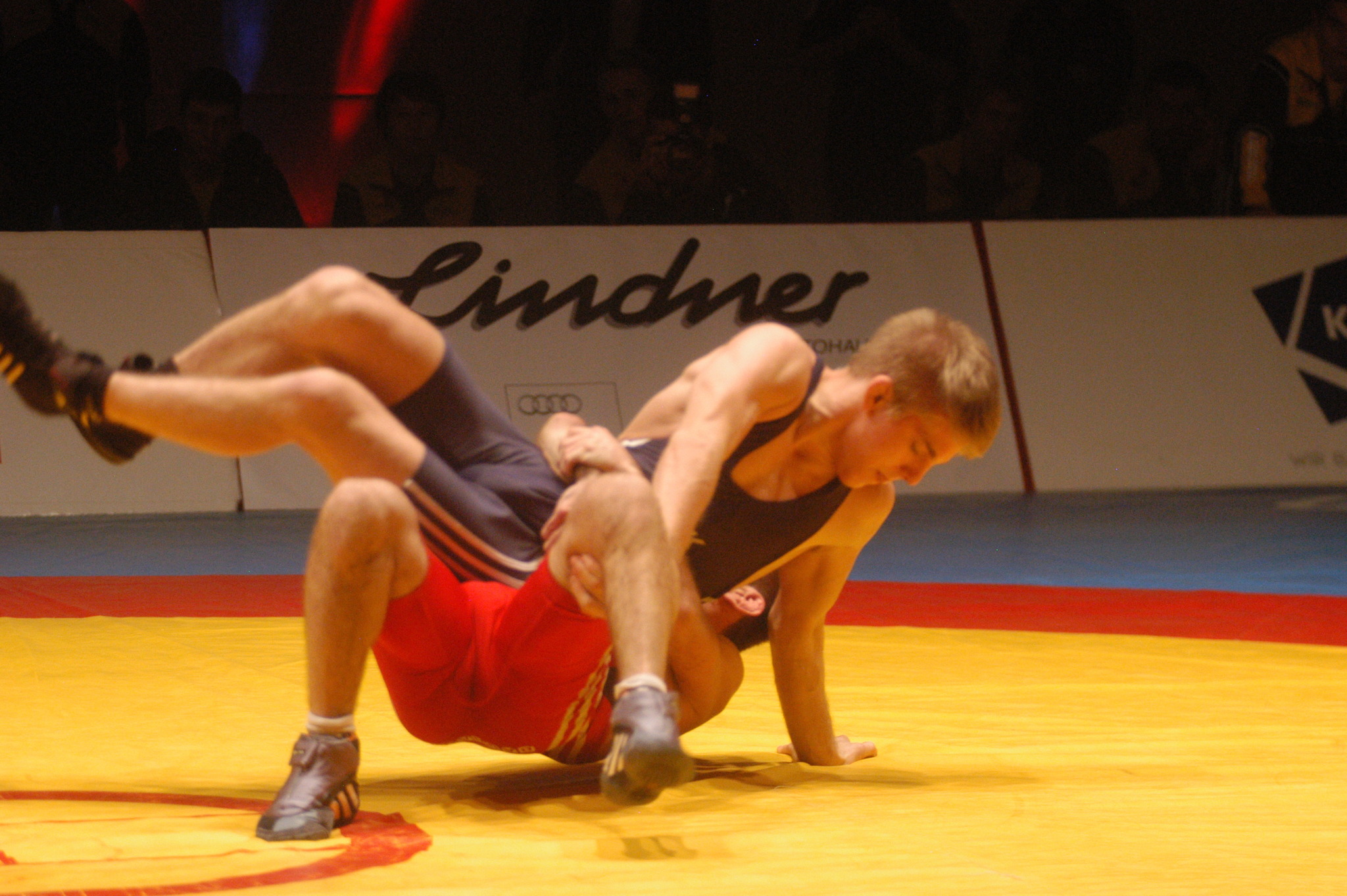 RingerBundesliga Meistertitel Nummer 48 ist pefekt! Flachgau