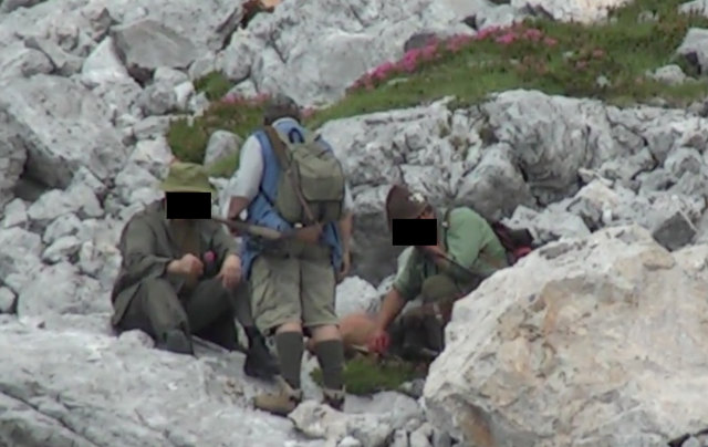 Gegen Beteiligte/Zeugen der "barbarischen Gamsjagd" in Leutasch wurde ein Verfahren eingeleitet und Urteile verkündet - noch nicht rechtskräftig! | Foto: screenshot youtube