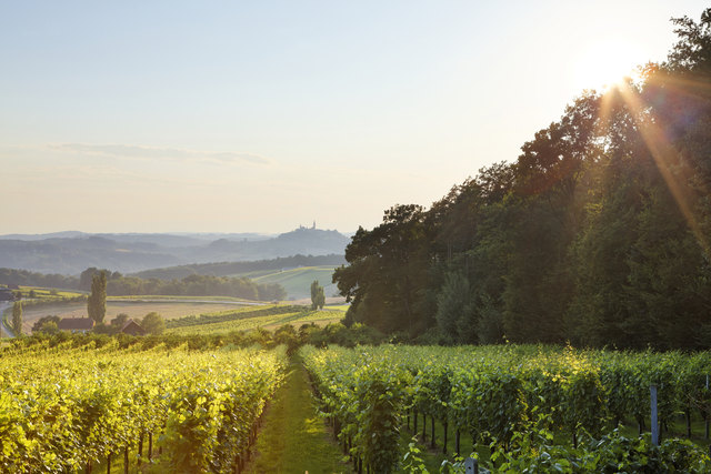 Fruchtbarer Lebensraum als Basis einer vitalen Landwirtschaft und eines vielfältigen Gewerbes. | Foto: Vulkanland, Bergmann