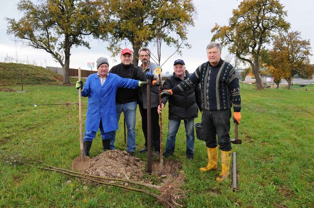 Am Foto von links: Josef Traxler, Siedlervereins-Obmann Erich Rubenzer, Josef Wögerer, Erwin Jochinger und Bürgermeister Wilhelm Wurm. | Foto: Heinz Traxler