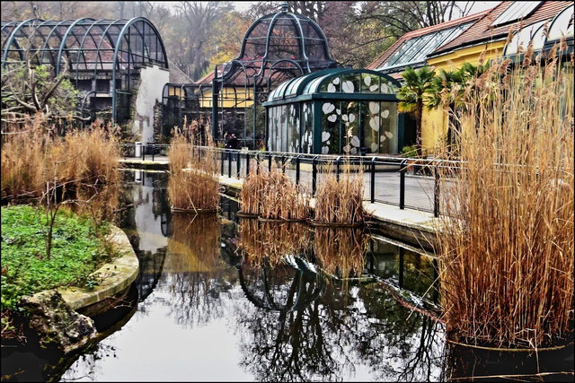 Vogelgehege und Vogelhaus, im Teich gibt es zwei Inseln, eine für die Gibbons, eine für die Kattas, früher wohnten auch noch Erdmännchen da. Die Schildkröten sonnen sich gerne hier.