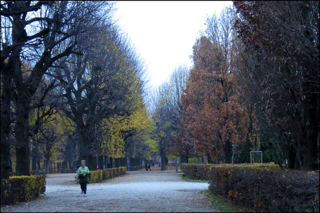 Endlos scheinende Alleen durchziehen die Parkanlage des Schlosses Schönbrunn