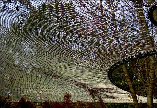 So sehen die Gitter'zeltdächer' über dem Großkatzengehege von innen aus, wenn die Sonne sie erglänzen lässt