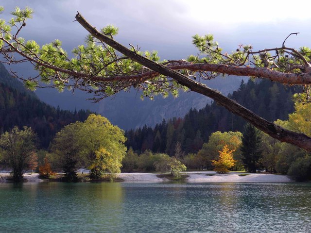 Jahreszeitenakkumulation | Foto: Ferdinand Schüssler