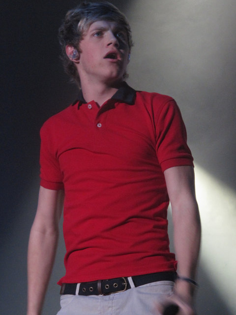 Niall Horan | Foto: karina3094 (flickr CC BY-SA 2.0)