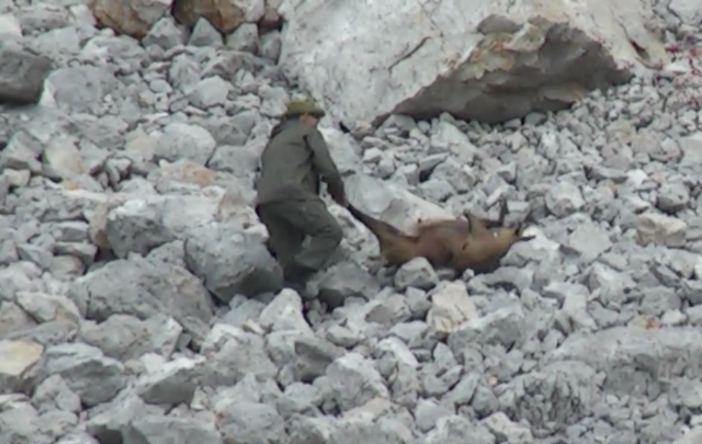 Gegen den russischen Jagdgast ermittelt die Staatsanwaltschaft wegen Tierquälerei. Der Tiroler Jägerverband kann nur bei seinen eigenen Mitgliedern Strafen aussprechen. | Foto: screenshot youtube