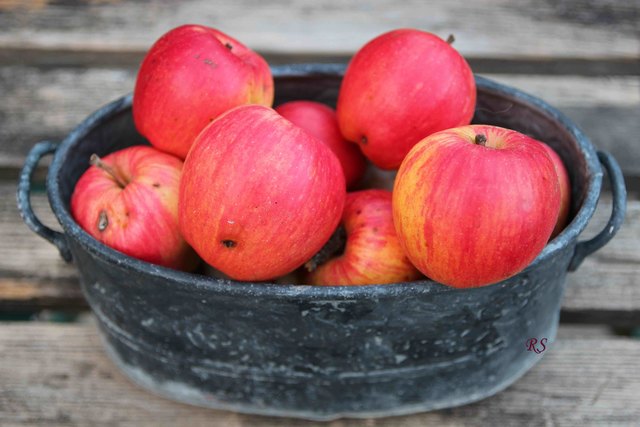 Äpfel mit den verschiedensten Eigenschaften wachsen nach wie vor in der Region. Da schaun die Äpfel im Supermarkt arm aus!