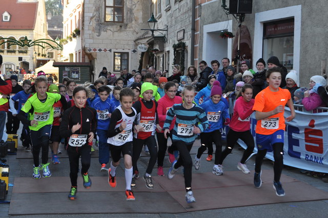 Start des Schülerlaufs 2 | Foto: ULC Riverside Mödling