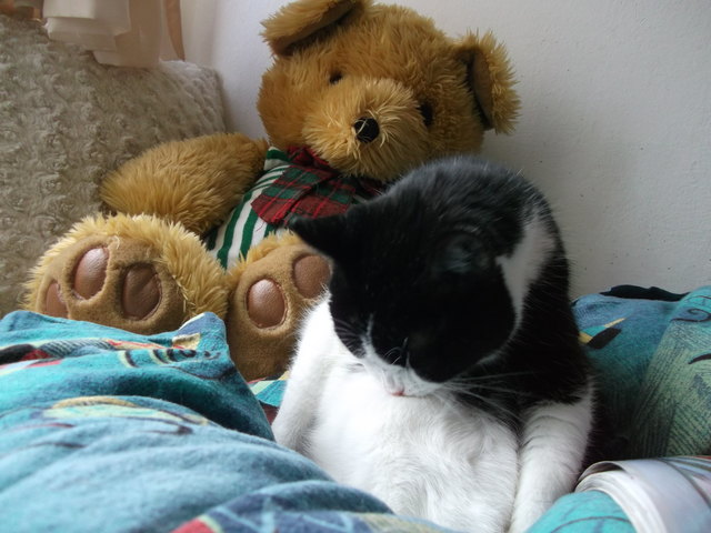 Schnell noch putzen...