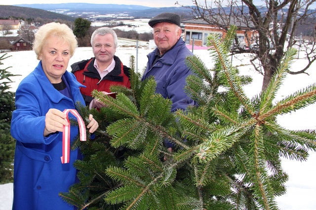 Pro Regionalität: LRin Dunst, Wolfgang Fuchs (Preisauszeichnungskontrollorgan) und Alfred Taschner aus Sieggraben | Foto: BLMS