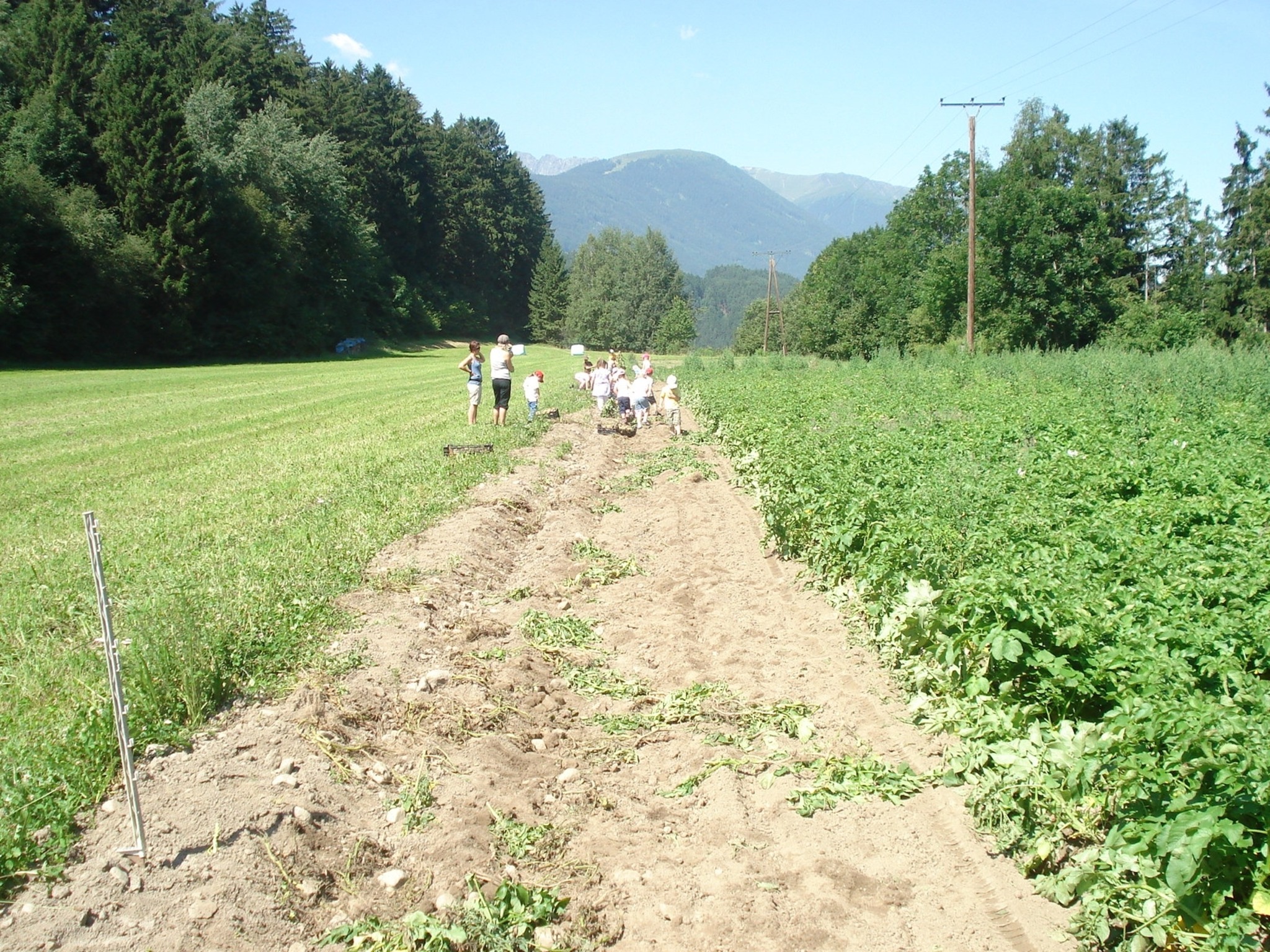 Kräuteranbau und Bio-Wissen - Hall-Rum
