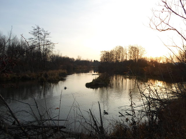 So idyllisch präsentiert sich der Marchfelderkanal an der Jedlersdorferstraße im Abendlicht | Foto: Matthias Zechmeister