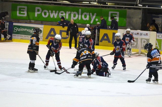 31 Teams und rund 300 Spielerinnen und Spieler der  Altersklassen U7 bis U10 treten gegeneinander an. | Foto: Graz 99ers Juniors