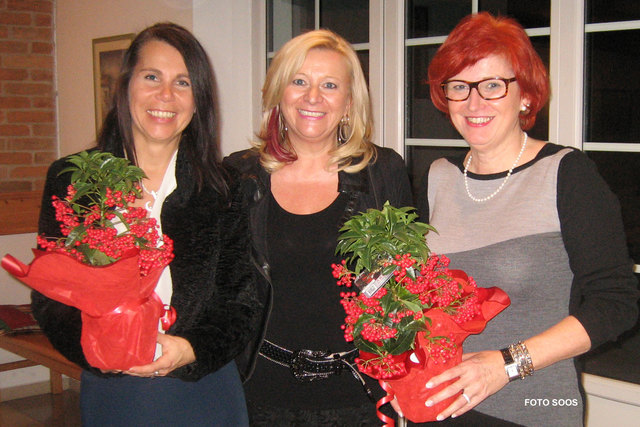 FiW Vertreterinnen Andrea Prenner-Sigmund, Dagmar Förster und Elfriede Soos | Foto: Foto: Soos