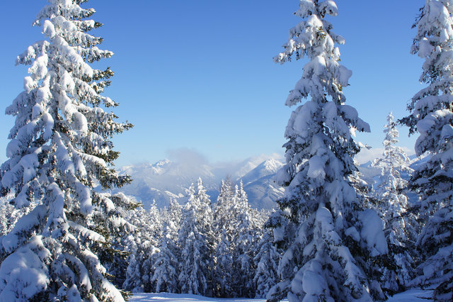 Auf dem Rossbrand/Filzmoos