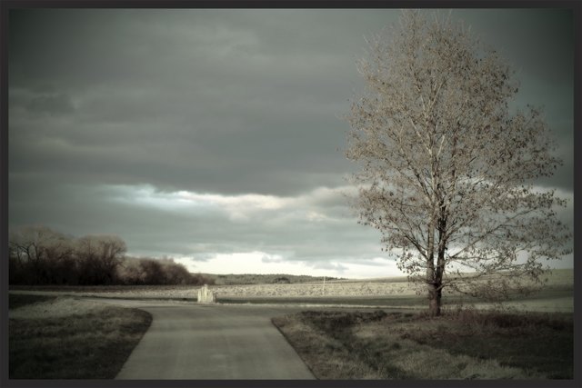 Ich gehe meinen Weg in Buchschachen