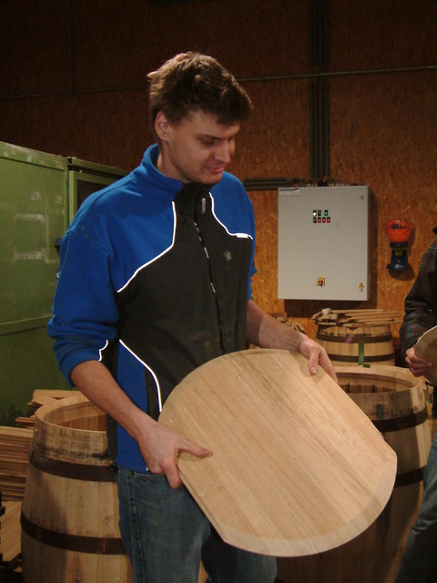 Mathias Stockinger erklärt die genaue Beschaffenheit der Eiche