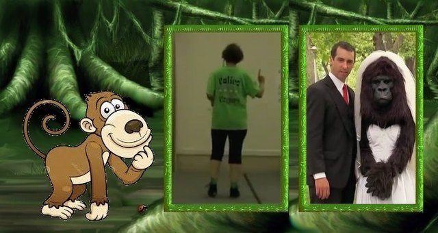 Calico Cloggers, Metro DC, Northern Virginia, USA