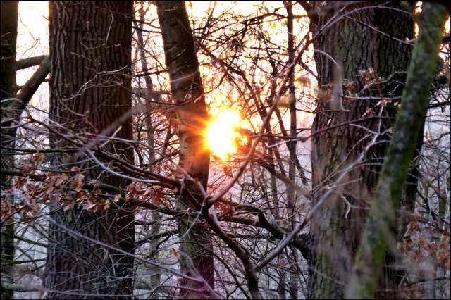 Grad noch vor dem Untergehen erwischt!