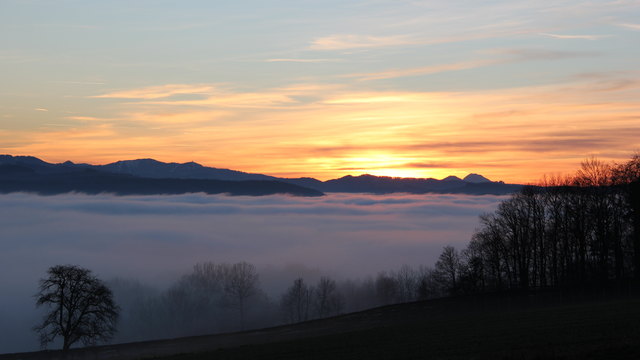 Unter dieser Nebeldecke verbirgt sich Altlengbach [Blick vom Kohlreith/24.12.2013] (Foto: Franz Tüchler) Im Hintergrund links der Muckenkogel. Rechts im Bild der Ötscher