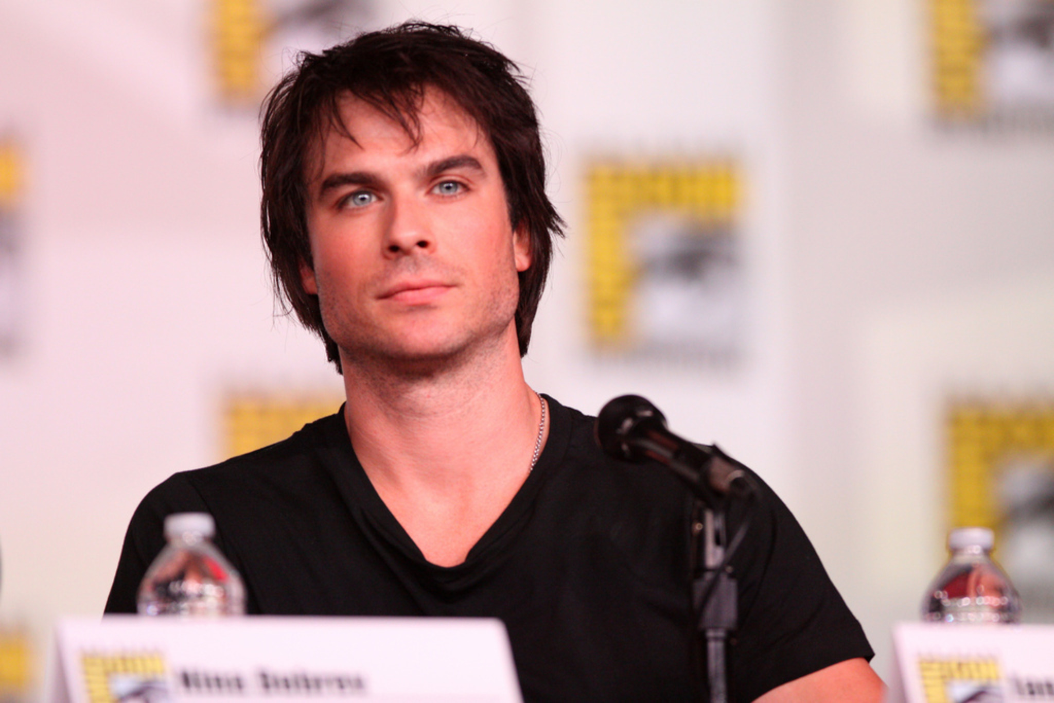 Vampire Diaries Staffel 6 Damon Salvatore ist zurück! (Foto) (Spoiler)