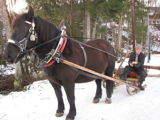Albert Huemer und seine "Fanny" kamen mit einer original "Schloapf".