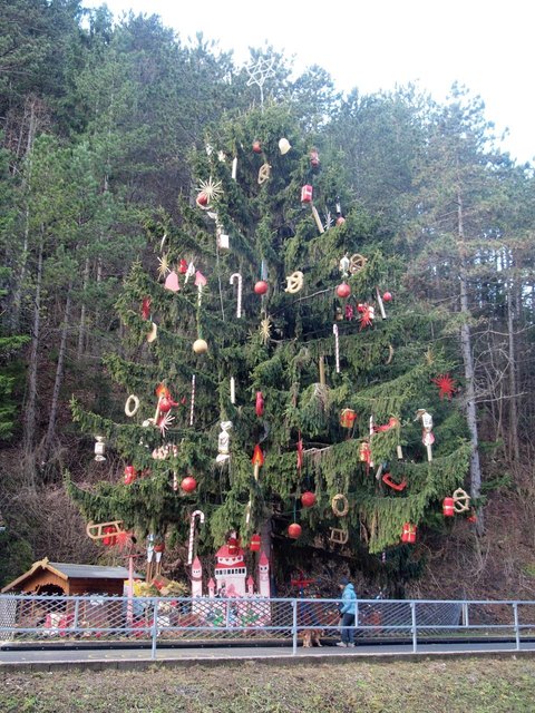 Der gewaltige Christbaum beim Eingang der Klamm