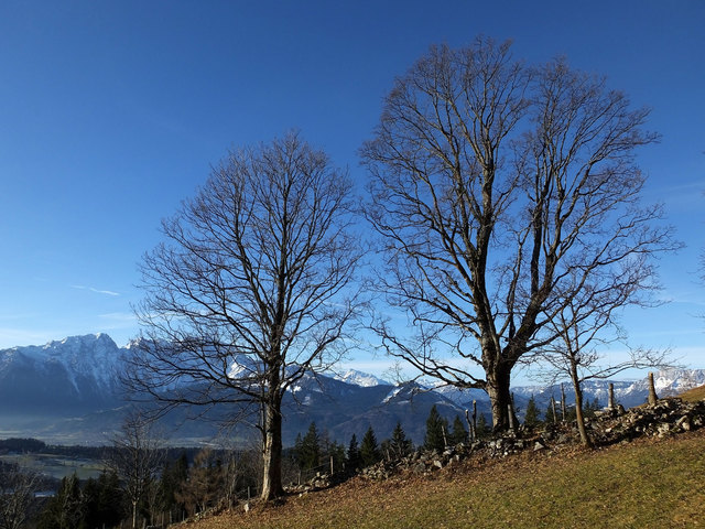 Herrliches Wanderwetter am 1. Jänner!
