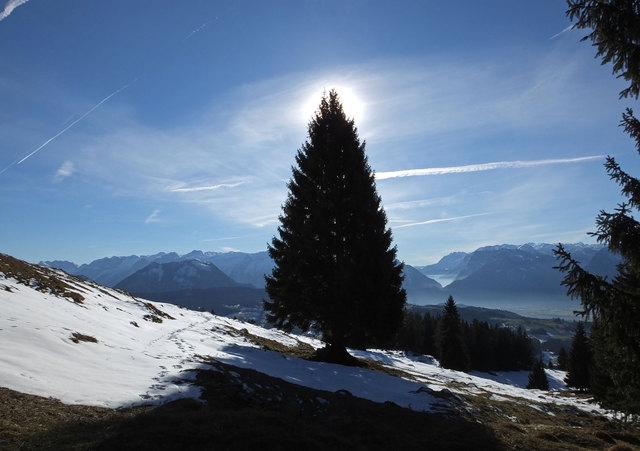 Neujahrstag am Rengerberg