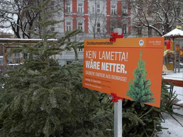 An 26 Orten im Bezirk kann man den alten Baum loswerden.