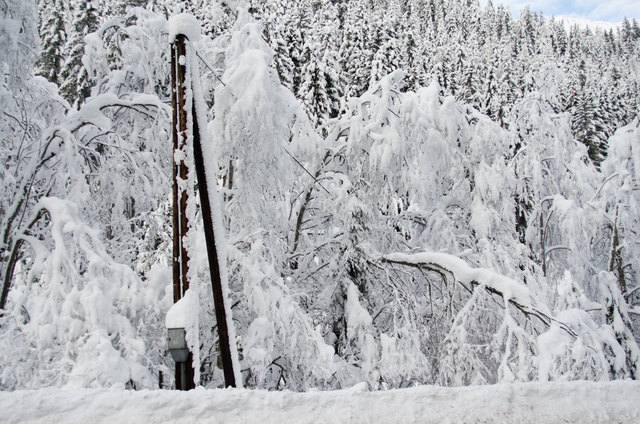 312 Störungen mussten die Mannschaften nach den Schneefällen beheben. | Foto: Brunner Images
