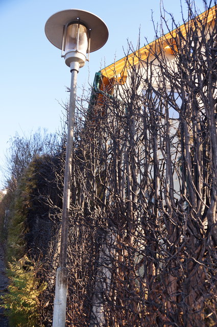 In Gablitz hat die Silvesternacht Brandspuren an Hecke und Straßenlaterne hinterlassen.