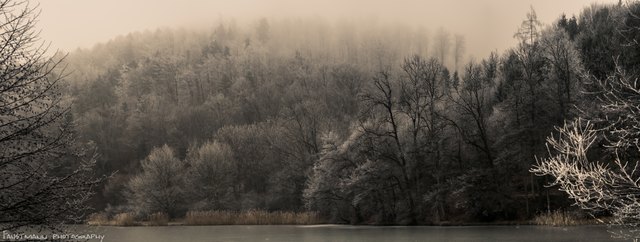 Nebelwetter am Thalersee